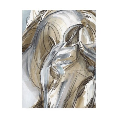 Jennifer Paxton Parker 'Horse Abstraction I' Canvas Art,14x19